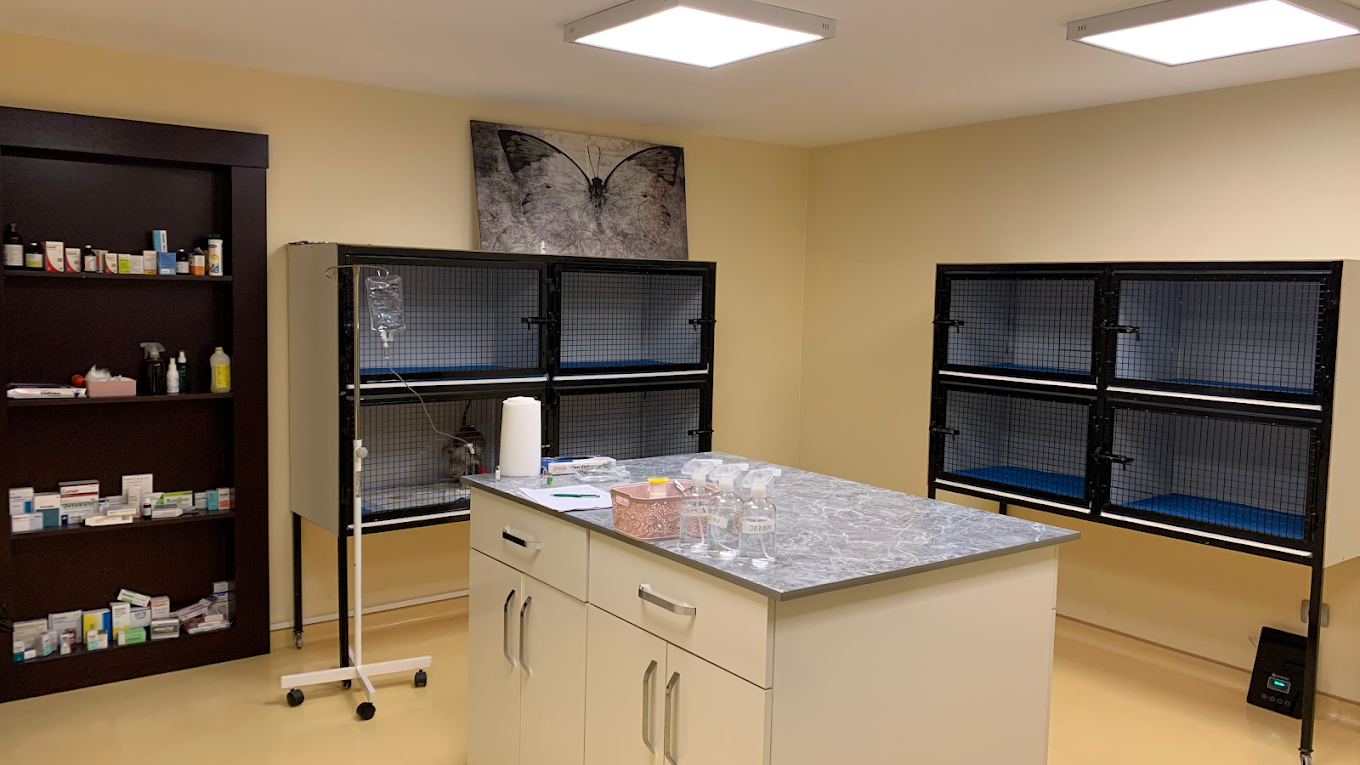 PET CARE Veteriner Kliniği gözlem ve bakım alanı