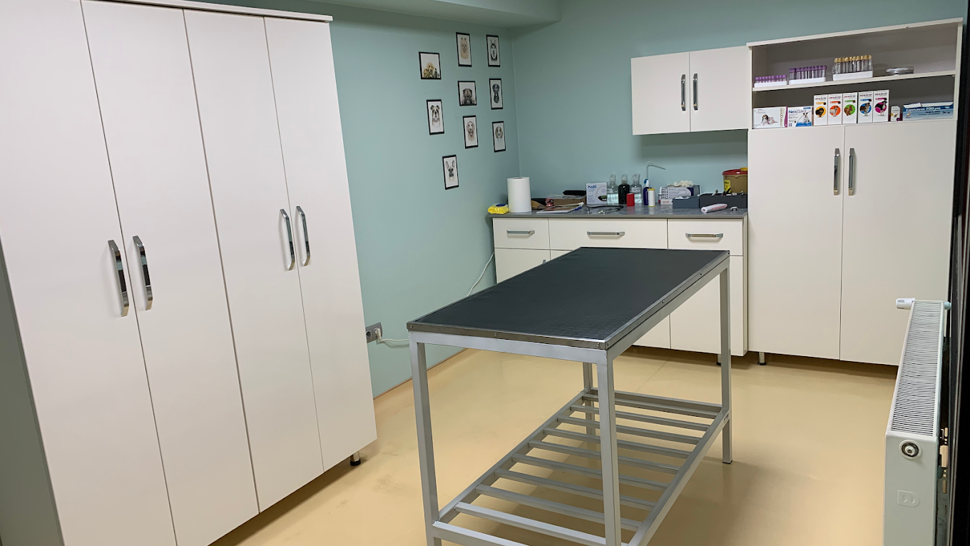 PET CARE Veteriner Kliniği muayene odası